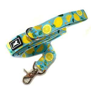 Kit de Paseo "Limonada"