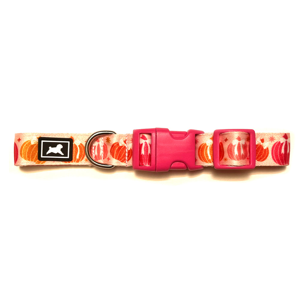 Collar "Pumpkin Patch"