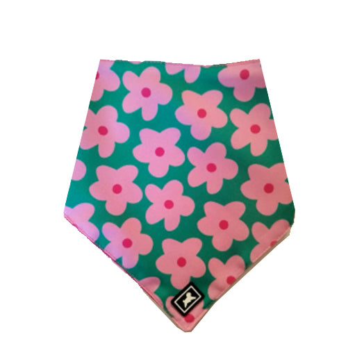 Kit de Paseo "Blossom"