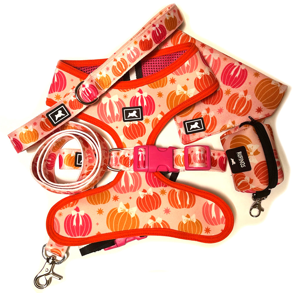 Kit de Paseo "Pumpkin Patch"