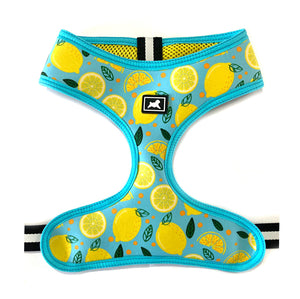 Kit de Paseo "Limonada"