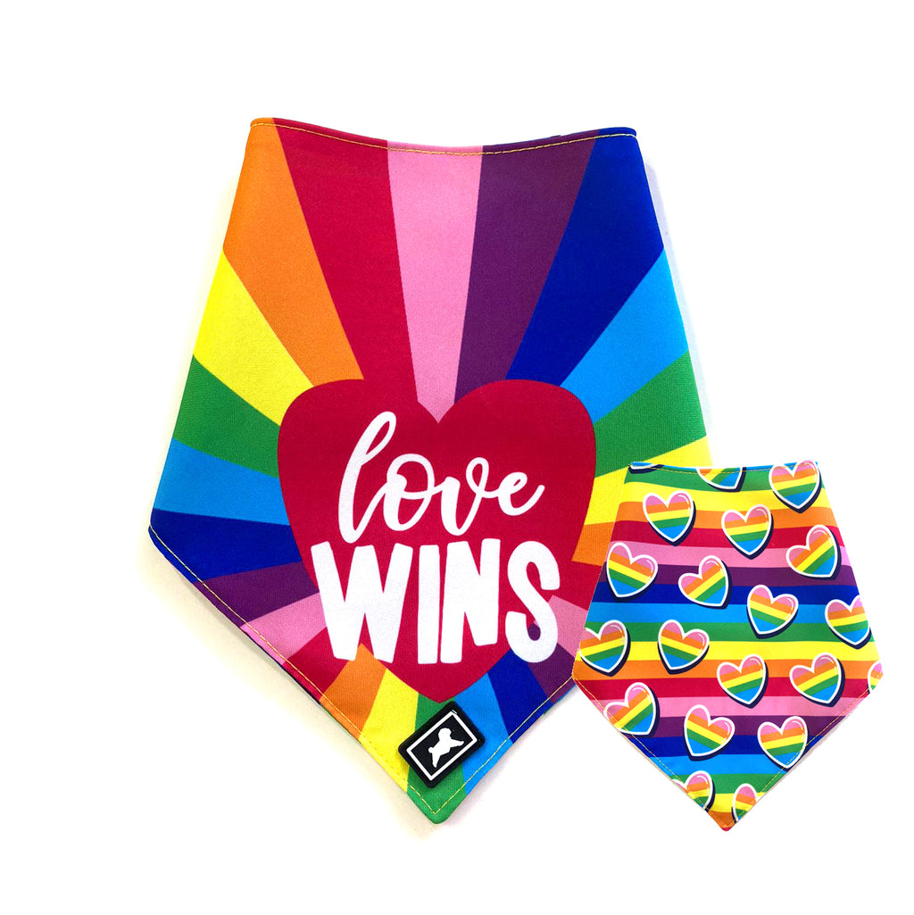 Bandana Reversible "Love Wins"