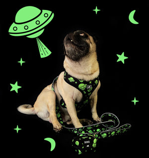 Arnés "UFO"