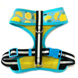 Kit de Paseo "Limonada"