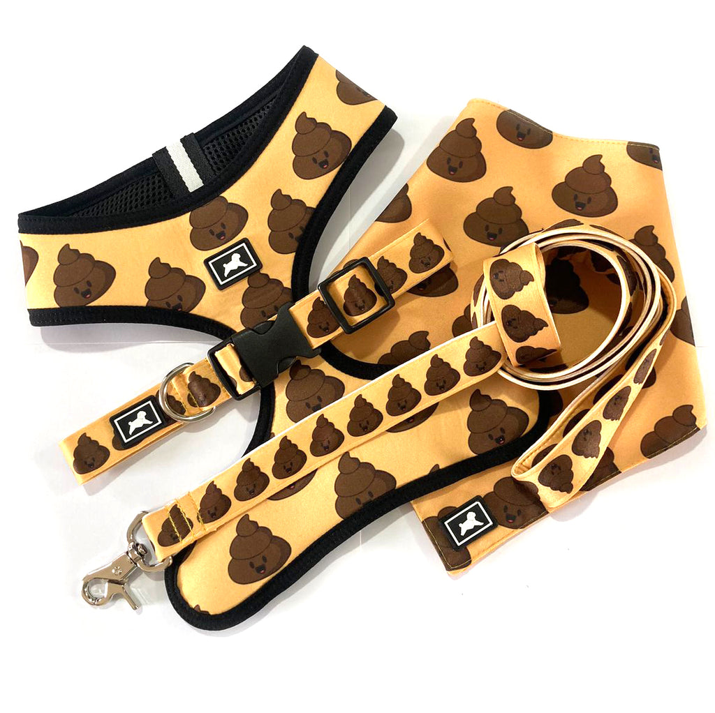 Kit de Paseo "Popis"