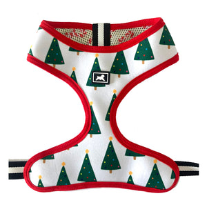 Kit de Paseo "Holly Jolly"