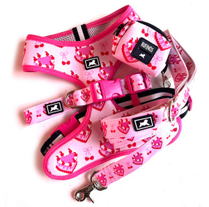 Kit de Paseo "Galentine"