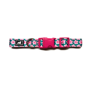 Kit de Paseo "Blossom"