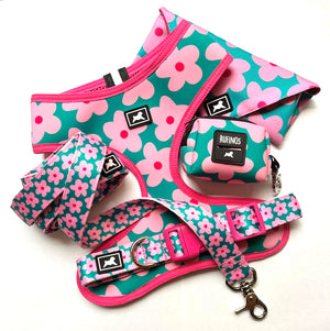 Kit de Paseo "Blossom"