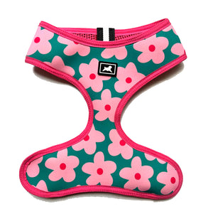 Kit de Paseo "Blossom"