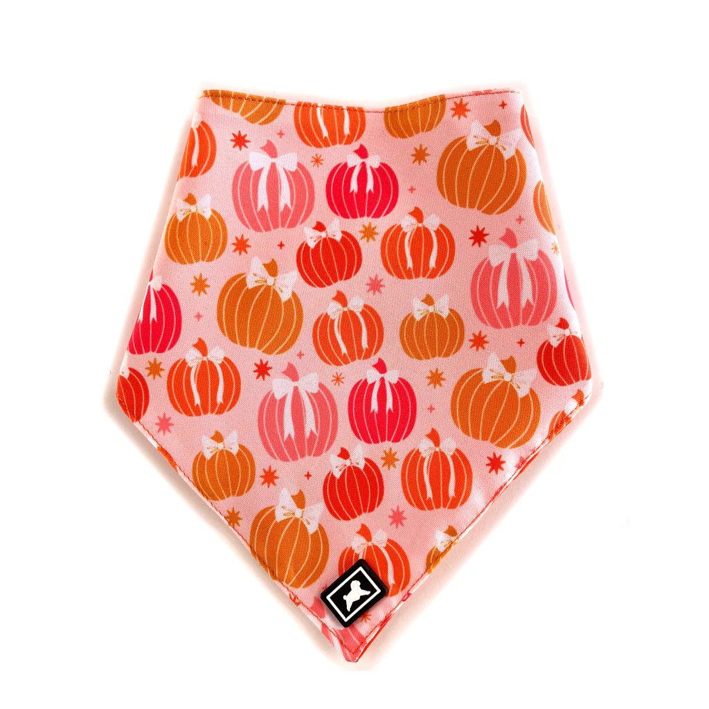 Bandana  "Pumpkin Patch"