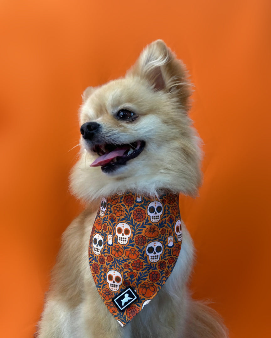 Bandana  "Mictlán"