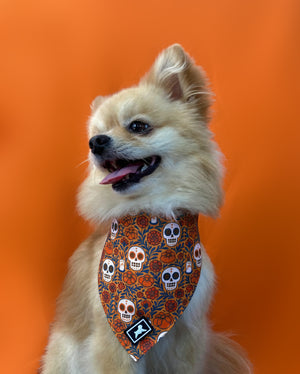 Bandana  "Mictlán"