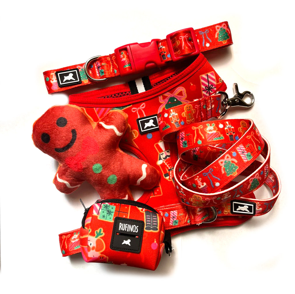 Kit de Paseo "Merry Xmas"