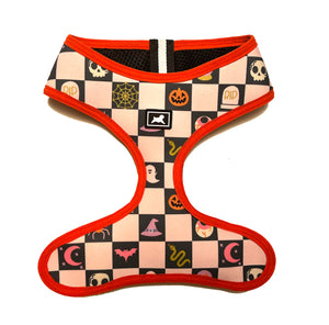 Kit de Paseo "Little Monster"