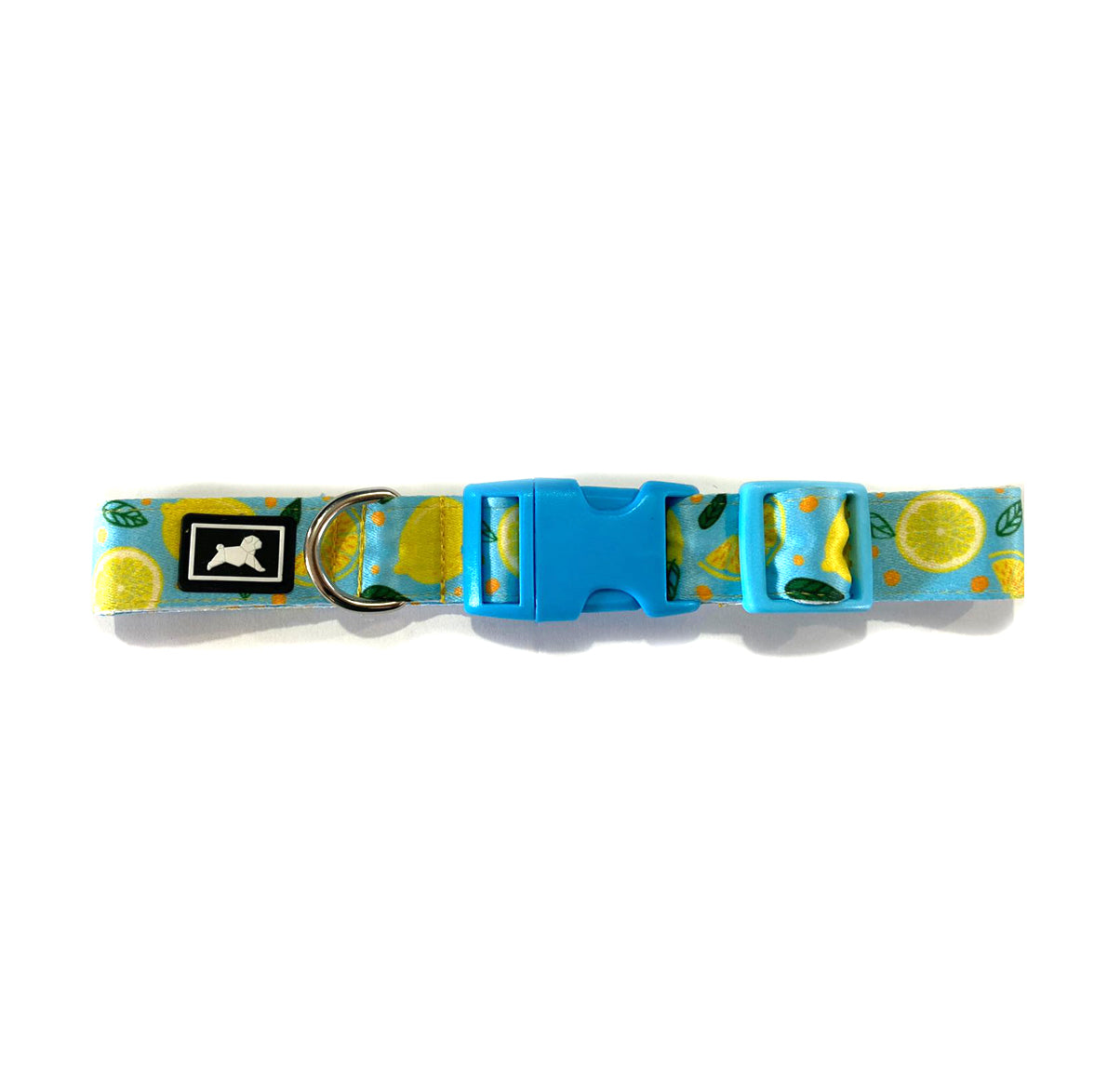 Kit de Paseo "Limonada"