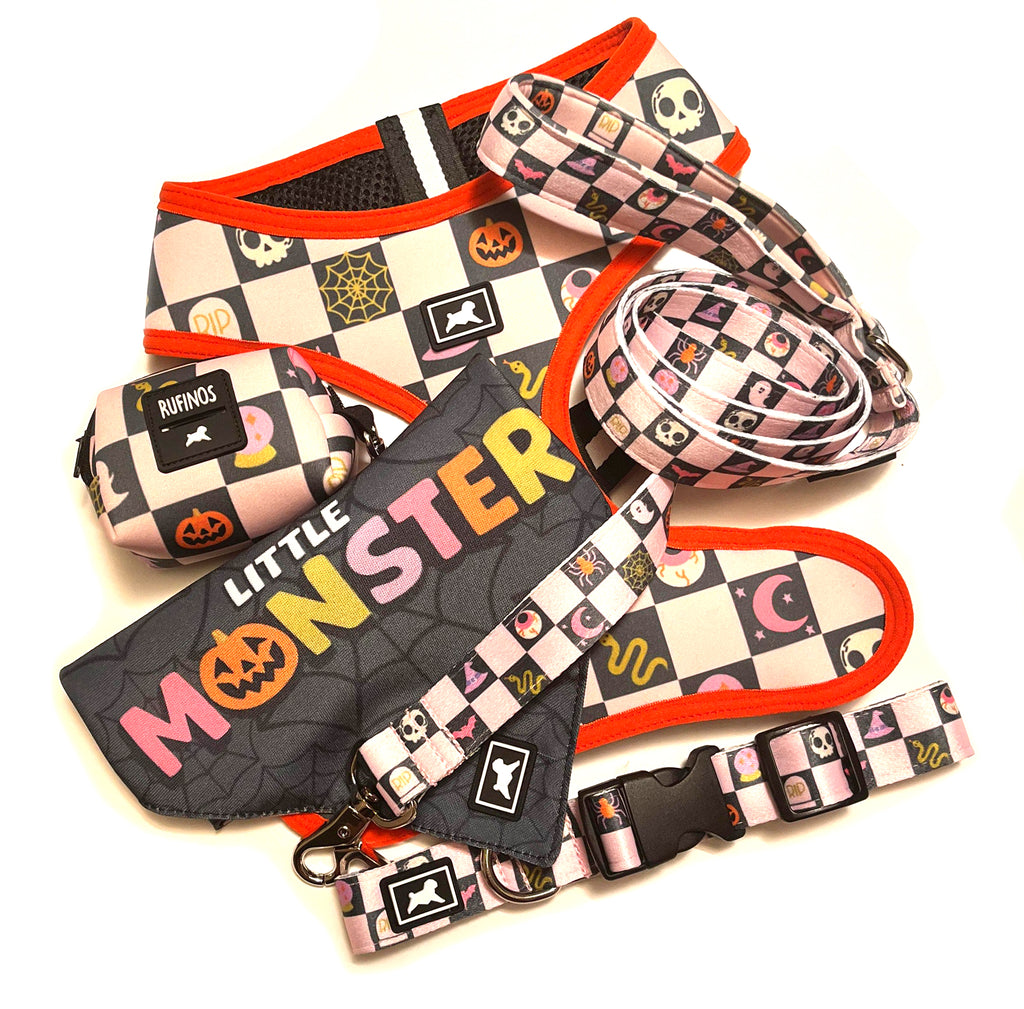 Kit de Paseo "Little Monster"