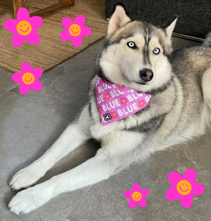 Bandana Perronalizada "Lila + Blanco" con flores