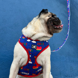Arnés "Fur-Ever Proud"