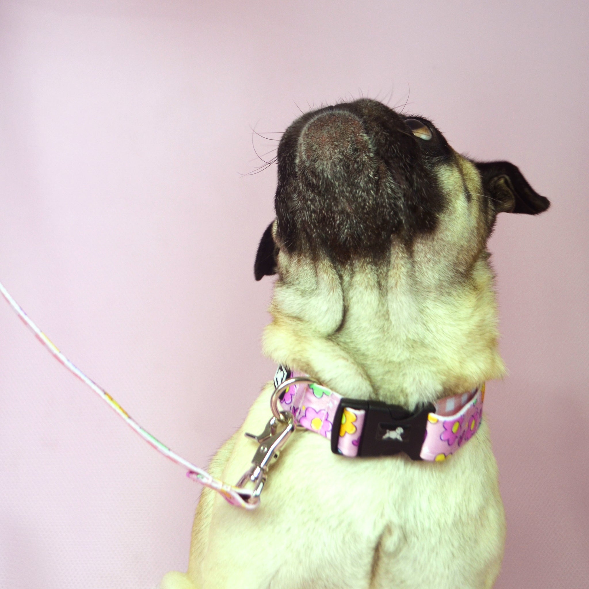 Collar "Flower Power"