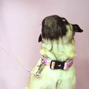 Collar "Flower Power"