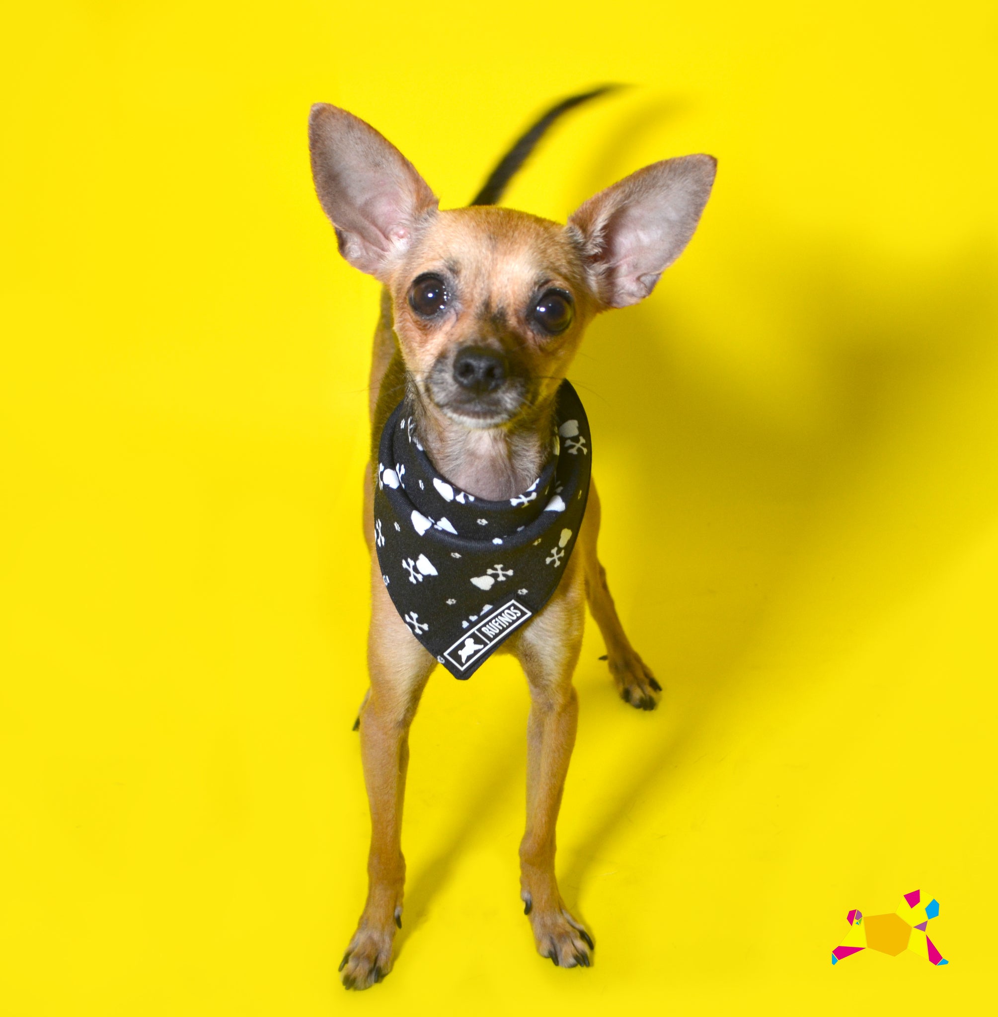 Bandana "Malo hasta los huesos"