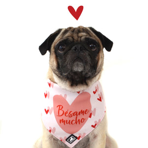 Bandana Reversible "Besame mucho"