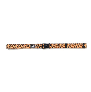 Kit de paseo manos libres "Animal Print"