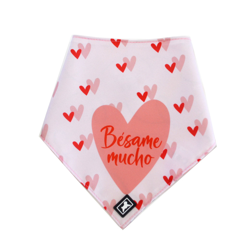 Bandana Reversible "Besame mucho"