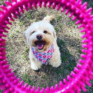 Bandana "Donas"