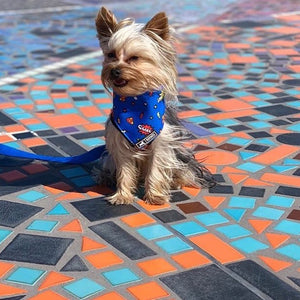 Bandana "Super Perrón"