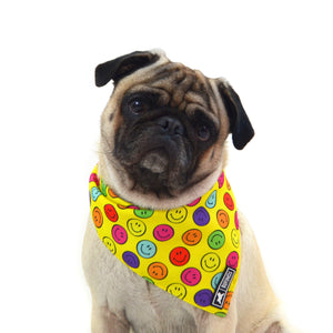 Bandana Reversible "Smiley"