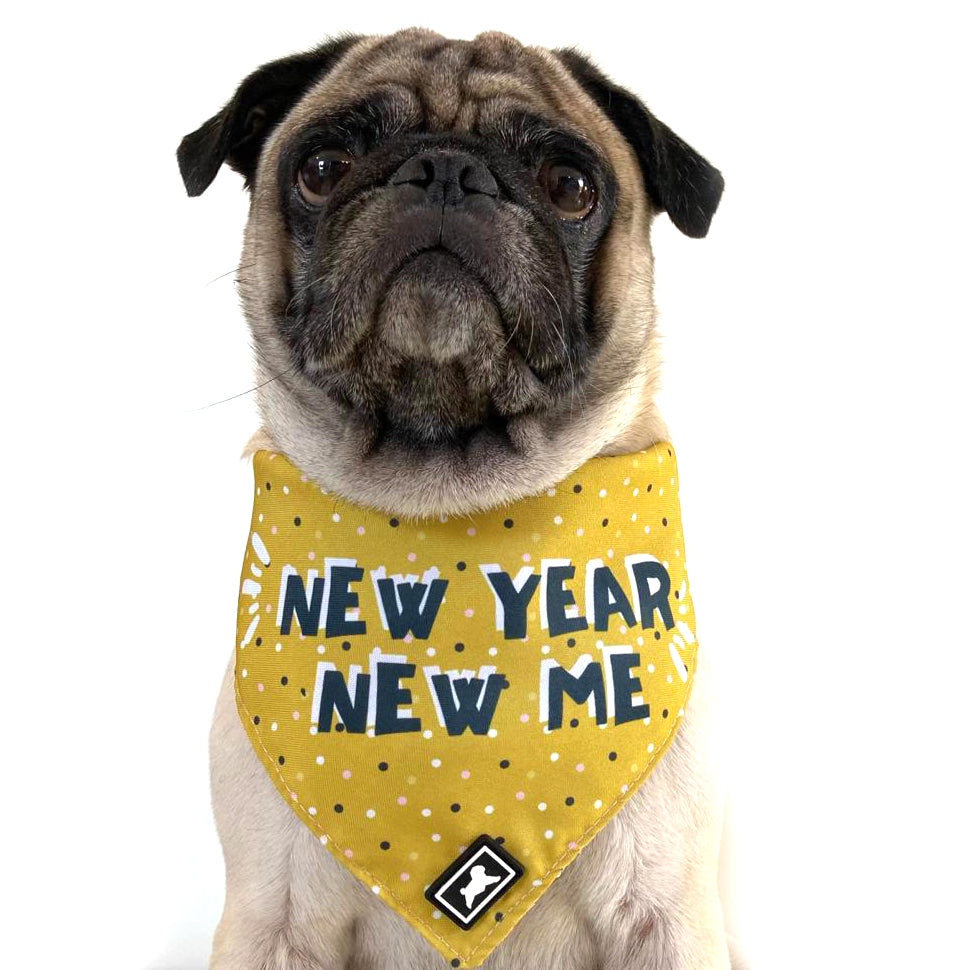 Bandana Reversible "New Year"