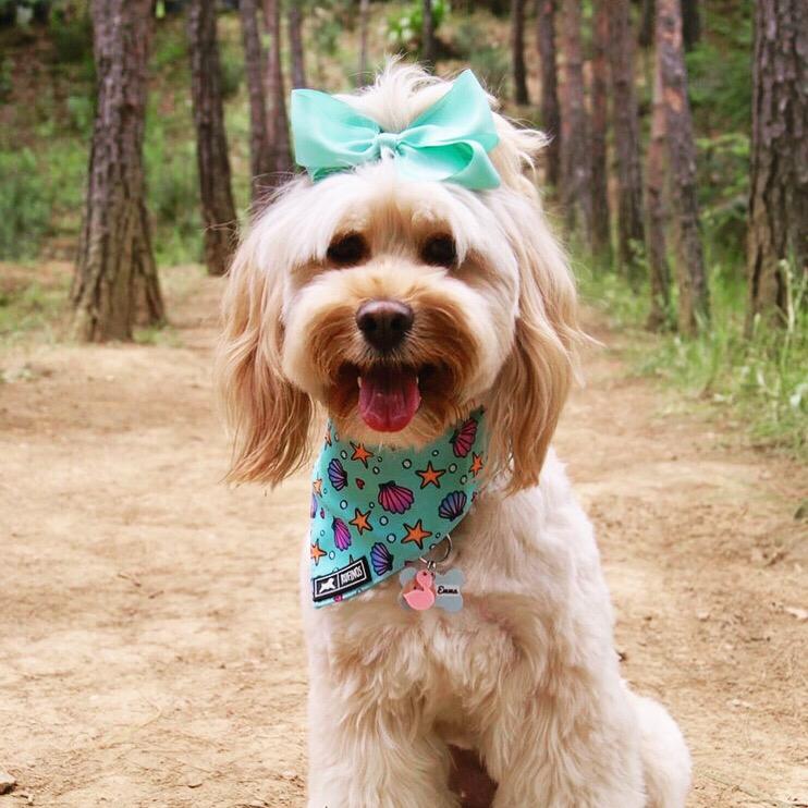 Bandana "Burbujas de Mar"