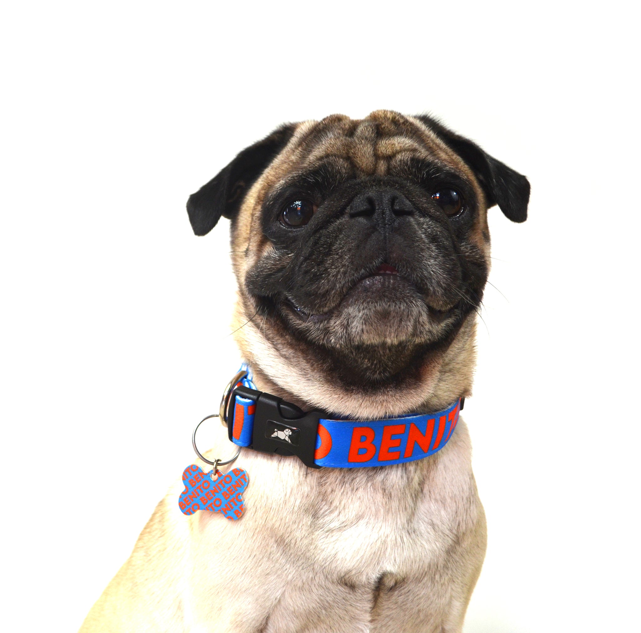 Collar Perronalizado "Azul+Naranja"