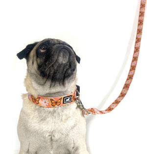 Collar "Monarca"