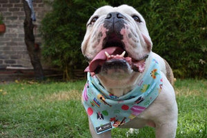 Bandana "Mañanitas Rosa"