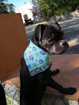 Bandana "Burbujas de Mar"